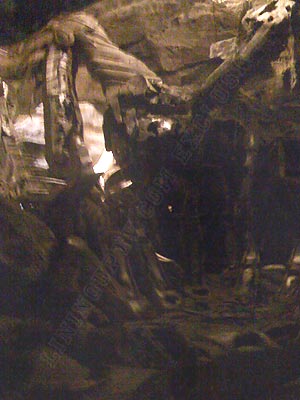 fallen-tf-3