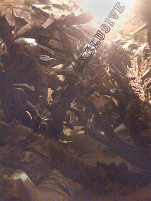 fallen-tf-4