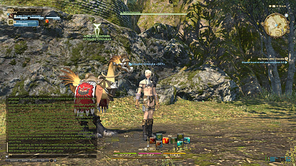 Final Fantasy XIV Online - A Realm Reborn Review - Recensione - 058 - Chocobo Companion 01