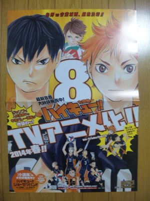 volley volley