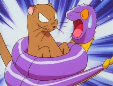 Gastly Mangusta Gastly Mangusta