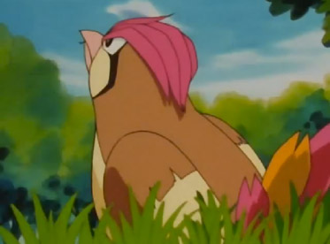Pidgeotto e il verme Pidgeotto e il verme