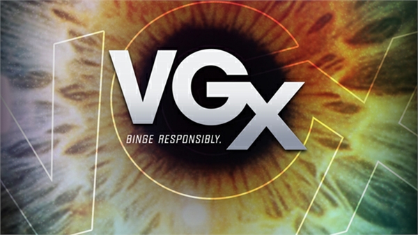 vgx2013 vgx2013
