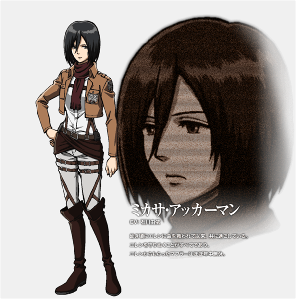 mikasa mikasa