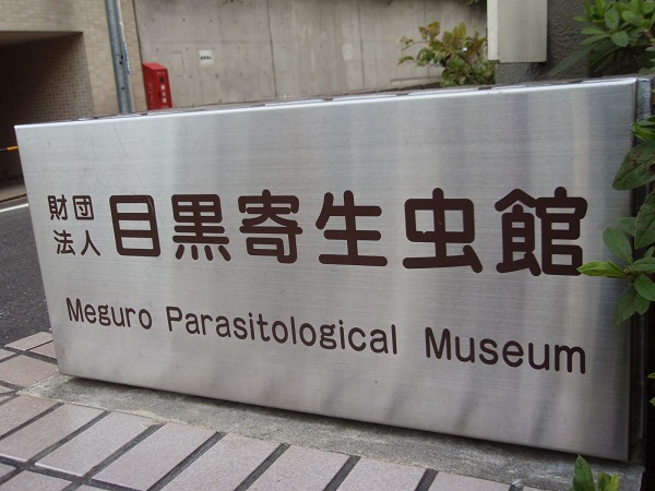 Meguro museo apertura