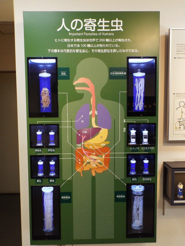 Meguro museo corpo Meguro museo corpo