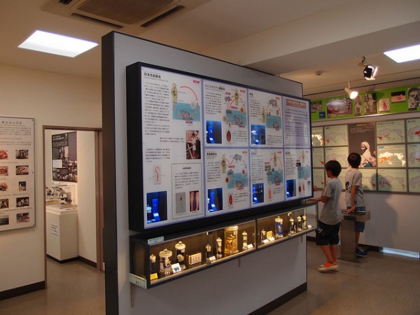 Meguro museo interni Meguro museo interni