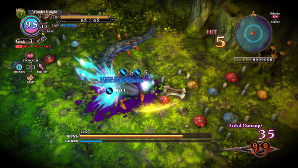 The Witch and the Hundred Knight 2 The Witch and the Hundred Knight 2
