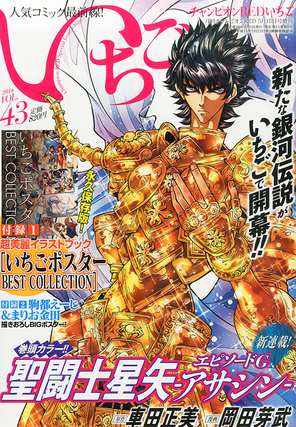Champion RED Ichigo 43 Champion RED Ichigo 43