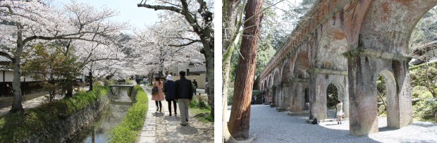 5° viaggio in Giappone AnimeClick.it - Passeggiata del filososo - 03/04/2014