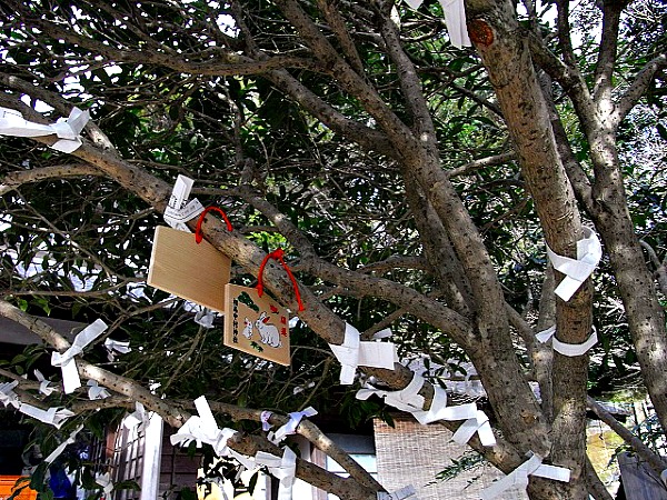 Omikuji albero