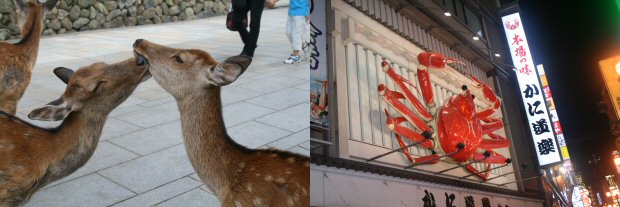 Reportage 6° viaggio in Giappone di Animeclick.it - 20 Agosto Reportage 6° viaggio in Giappone di Animeclick.it - 20 Agosto
