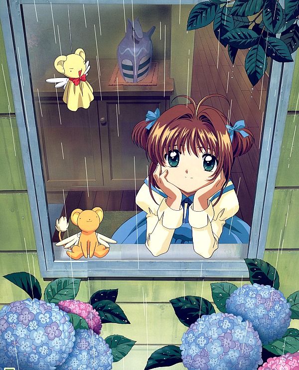 Teru teru captor Teru teru captor