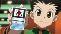 Hunter x Hunter Gallery 1