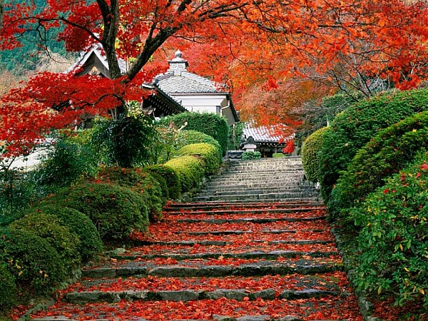 Momiji paesaggio Momiji paesaggio