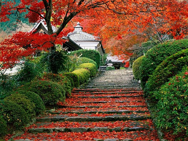 Momiji paesaggio