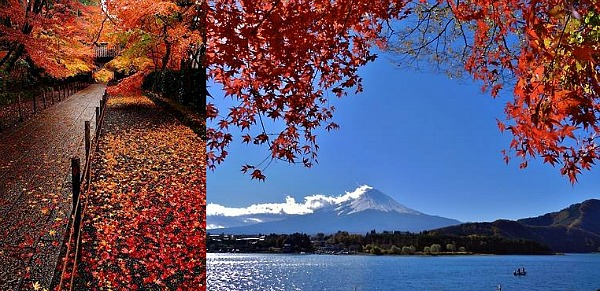 Momiji duo 2 Momiji duo 2