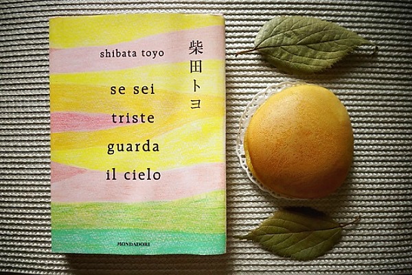 Bibliotecagiapponese shibata dorayaki